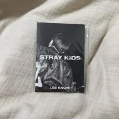 straykids スキズ リノ トレカ in生 ミニフォトブック