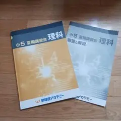 Item thumbnail for item 1bf03c0a-e635-4969-b9e3-505899230d53