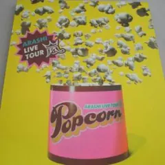 嵐 公式グッズ ARASHI LIVE TOUR Popcorn パンフレット