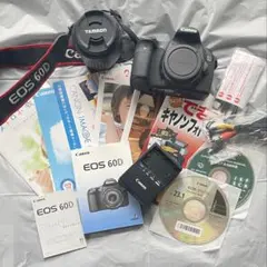 2026年最新】canon eos60dの人気アイテム - メルカリ