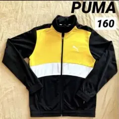 PUMA ジャージ 160サイズ イエロー/ブラック