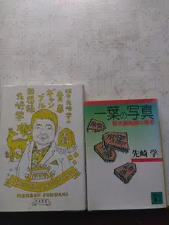 一葉の写真青春ギヤんブル二冊