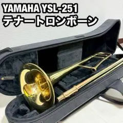 2025年最新】ysl 251の人気アイテム - メルカリ