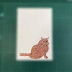 猫 ポストカード 絵はがき 10枚　　#225-1