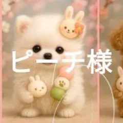 ピーチ様確認用