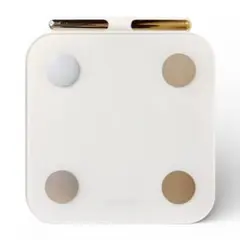 Item thumbnail for item 78d4d81c-04c0-4c34-a7a2-bacec4e217cf