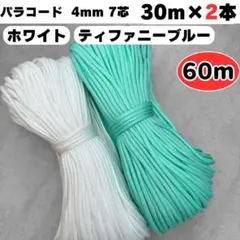 Item thumbnail for item 8fb91926-3223-4dac-afef-d1e9ec4b676c