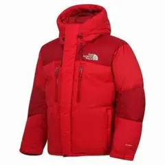 【Lsize】THE NORTH FACE ダウンジャケット