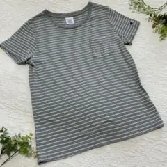 美品【Champion ストライプボーダー半袖Tシャツ】チャンピオン【M】グレー