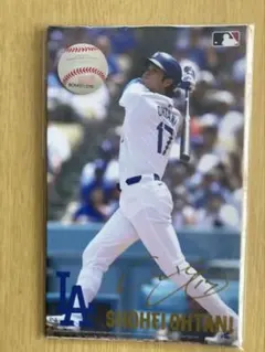 大谷翔平 大型ポストカード Aセット5枚