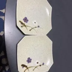 和取り皿 2点セット