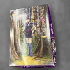 漆原慎太郎 アゲ!アゲ!古文のうるトラC! 漆原慎太郎 アゲ！アゲ！古文のうるトラC！代ゼミ - メルカリ