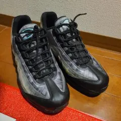 【極美品】Nike Air Max 95 DA7735 レントゲン 29.5