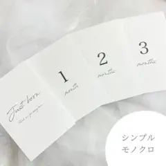 マンスリーカード　命名書　シンプル　モノクロ　手形　足形　L判可