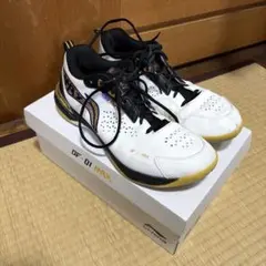 リーニンバドミントンシューズDF-01 Max 渡辺勇大選手モデル28.5センチ