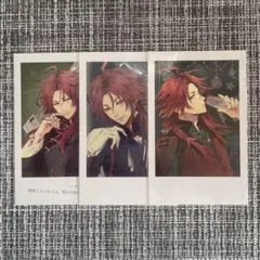 ピオフィ 楊 パルカ