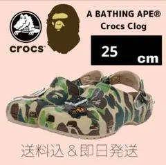 Item thumbnail for item d289562b-fef4-4538-be51-12da499f2782