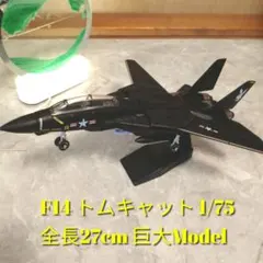 2026年最新】f14 トムキャット完成品の人気アイテム - メルカリ