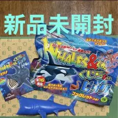 【新品未開封】くじら&co. WHALES&co. ウバザメ