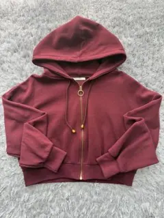 REDYAZEL ショートパーカー　フーディー　フリーサイズのサムネイル