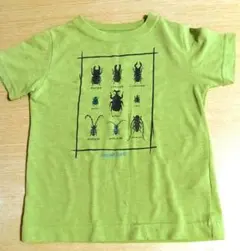 mont-bell 昆虫デザイン Tシャツ 100cm