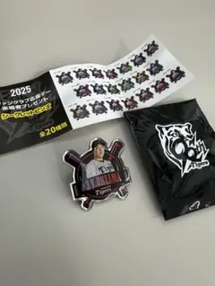 沢田研二 タイガースファンクラブ バッジセット 阪神タイガースファンクラブ2022ピンバッジセット - メルカリ