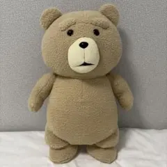 ted ぬいぐるみ