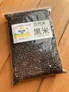 令和7年黒米 900g 千葉県いすみ市産 有機肥料 無農薬のサムネイル