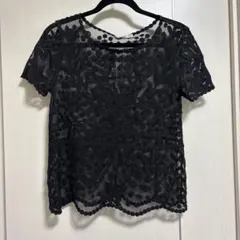 ZARA トップス、シアーカットソー