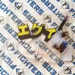 北海道日本ハムファイターズ レイエス語録 カラビナ付きメリケンサック「エグイ」