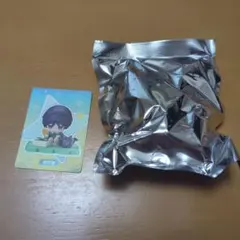 miHoYo 原神 童夢奇珍シリーズ Q版ブライドフィギュア 放浪者