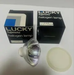 LUCKY fujimoto まとめ売り 2025年最新】lucky fujimotoの人気アイテム - メルカリ