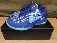 NIKE コービー5 プロトロx-ray 26cm