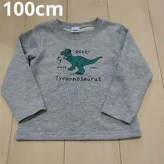 【100cm】Disney PIXAR トイストーリー トレーナー