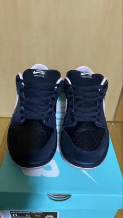 Nike SB Dunk Low PRO Washed Coral