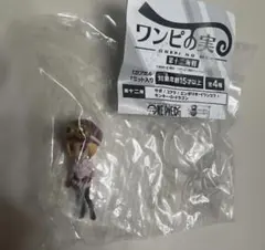 ワンピの実　第十二海戦　コアラ