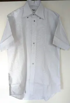 Item thumbnail for item 7e9edb88-f6da-4268-9913-f8d840fb1866