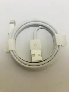 USBケーブル・イヤホン