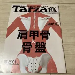 Item thumbnail for item 097f036c-be6e-4b2a-ad7a-4412612679b9