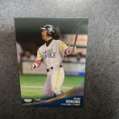 Item thumbnail for item 78ef7fad-bf7b-46af-9687-da10a007eb8b