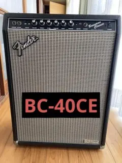 2026年最新】fender bm ceの人気アイテム - メルカリ