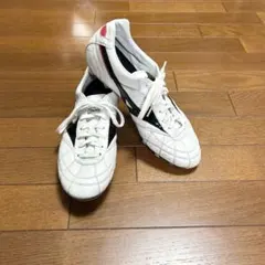 モレリア2Japan クロスステッチ27センチ　手入れ道具セット