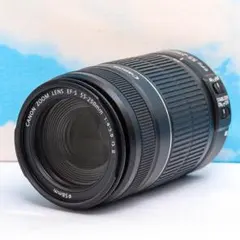 2026年最新】55－300の人気アイテム - メルカリ