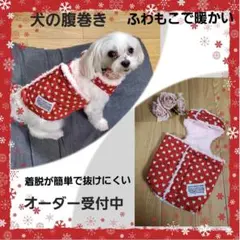 Item thumbnail for item dcae19c2-4a71-401a-81d4-74c7cb46fa1e