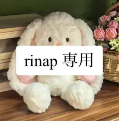 rinap 専用