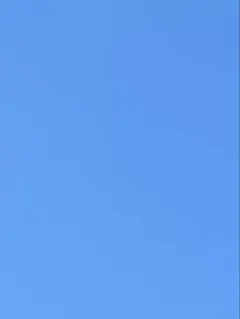 りりぃ様専用ページ