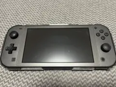 Nintendo Switch Lite ディアルガ・パルキア カセット2個
