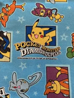 ポケットモンスター ダイヤモンド＆パール 平成レトロ、キャンバス