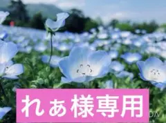 専用です。