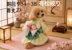 E6.pon2pan2☆現品犬浴衣 - メルカリ